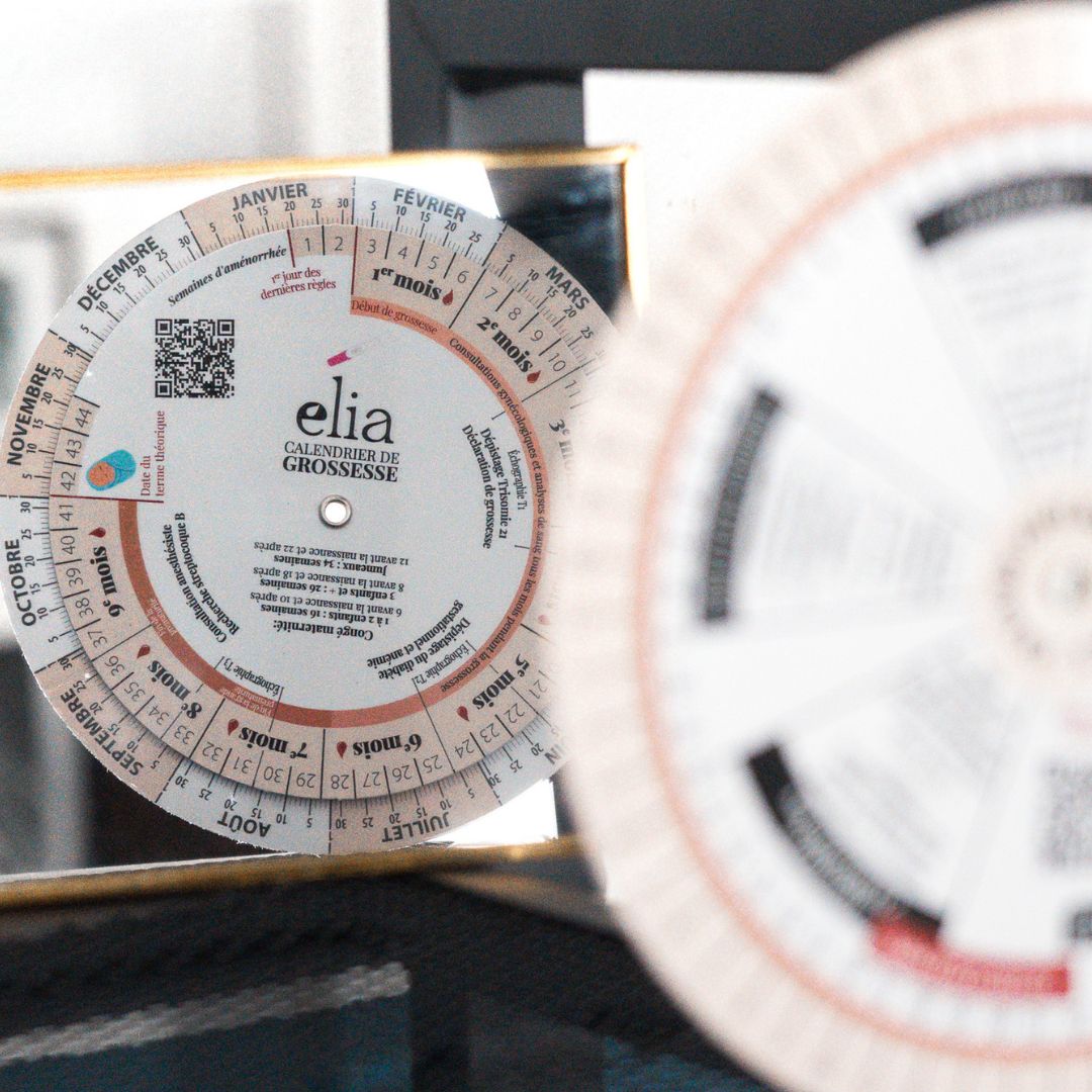 Roue de cycle (grossesse et règles)-Elia Lingerie