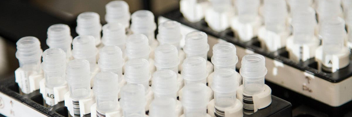 Qu'est-ce que la mutation MTHFR et son rôle sur la fertilité ?