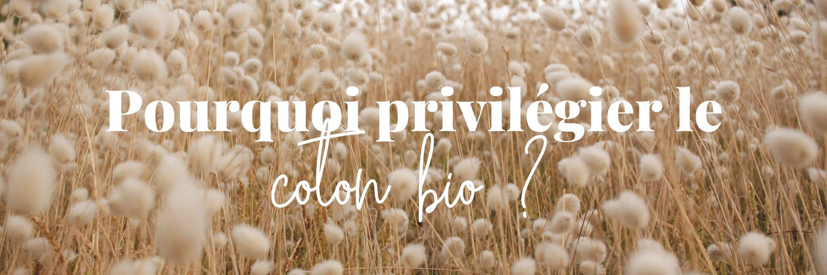 Quelles différences entre coton bio et coton traditionnel ?