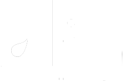 Elia Lingerie